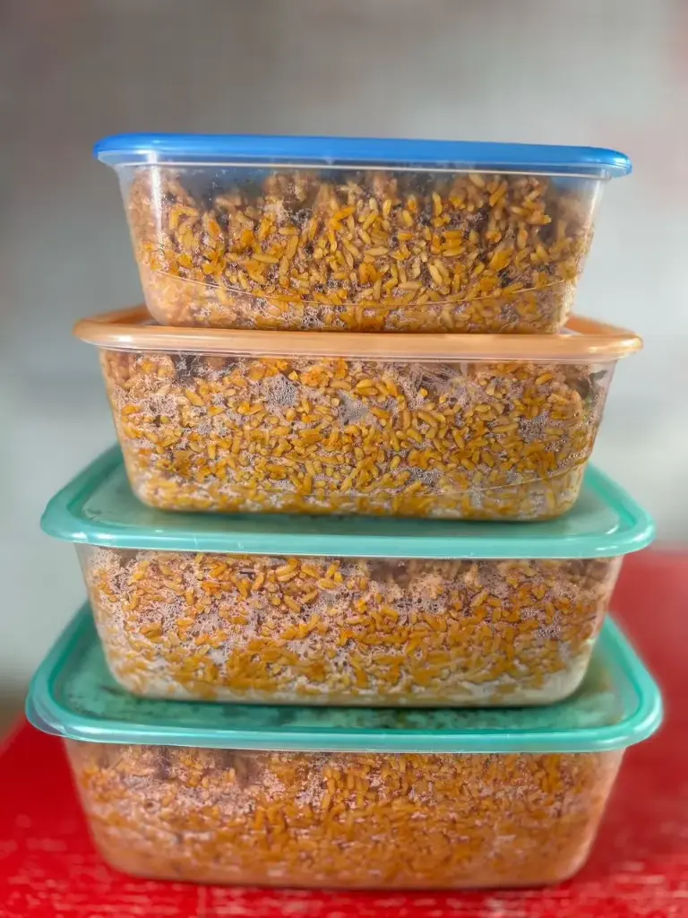 Smokey Jollof Rice In Bowls (1.5Litres)